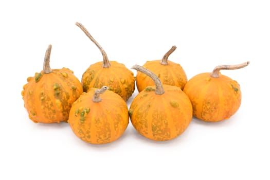 Group of six small round warty ornamental gourds, orange with green markings, isolated on a white background