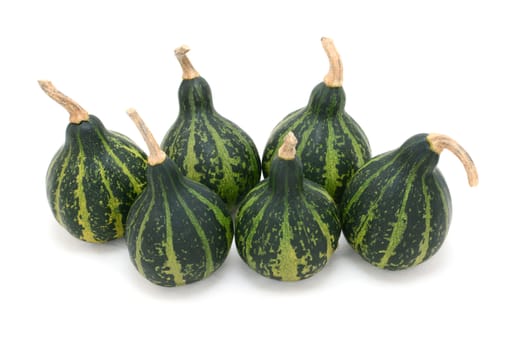 Group of six spinning or dancing gourds, dark green striped ornamental squash, isolated on a white background