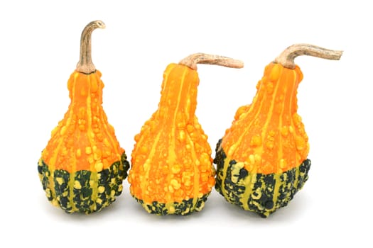 Three pear-shaped orange and green ornamental gourds with large warty lumps and bold stripes, isolated on a white background