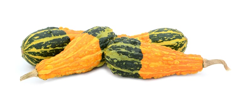 Four pear-shaped ornamental gourds with bold orange and green stripes lying flat, isolated on a white background