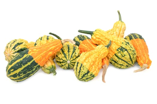 Assortment of orange, green and yellow ornamental gourds with unusual markings and textures, isolated on a white background