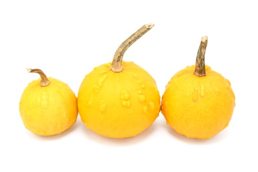 Three round orange ornamental gourds with warty lumps in different sizes, isolated on a white background