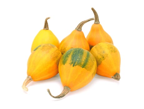 Group of six orange pear bicolor ornamental gourds, upright and flat, isolated on a white background