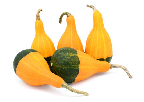 Five smooth, pear-shaped orange and green ornamental gourds, standing and lying, isolated on a white background