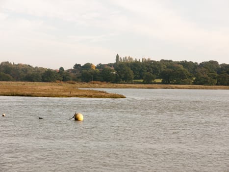 marina ball buoy floating on water scene landscape; Essex; England; UK