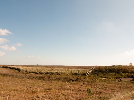 open marshland landscape scene with blue skies, clouds, and grass; essex; england; UK