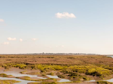 marshland landscape scene water in front village skyline in far background high sky space; essex; england; UK