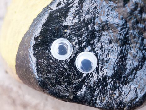 close up of funny cartoon googly eyes on black rock; Essex; England; UK