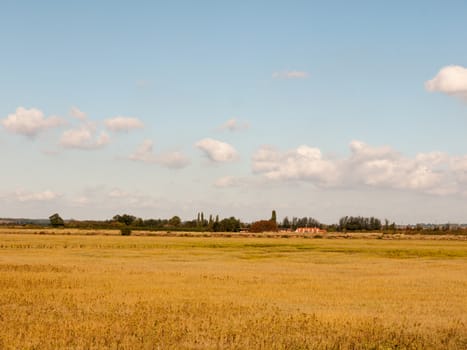 open marshland landscape scene with blue skies, clouds, and grass; essex; england; UK