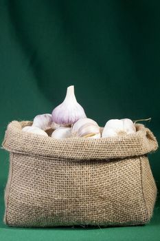 Garlic in a bag on a green background