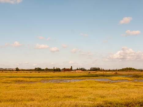 open marshland landscape scene with blue skies, clouds, and grass; essex; england; UK