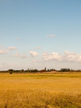 open marshland landscape scene with blue skies, clouds, and grass; essex; england; UK