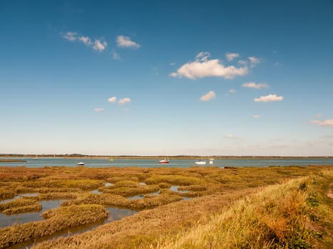 beautiful scene of river with boats grassland in front blue sky and clouds; essex; england; UK