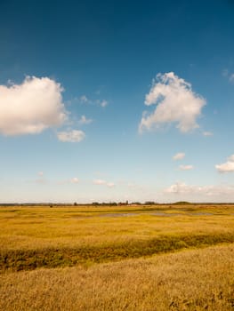 open marshland landscape scene with blue skies, clouds, and grass; essex; england; UK