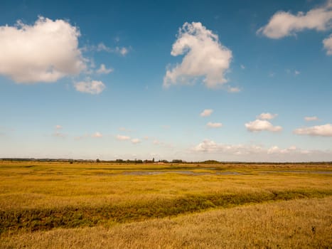 open marshland landscape scene with blue skies, clouds, and grass; essex; england; UK