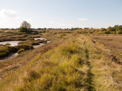 open marshland landscape scene with blue skies, clouds, and grass; essex; england; UK