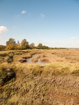 open marshland landscape scene with blue skies, clouds, and grass; essex; england; UK