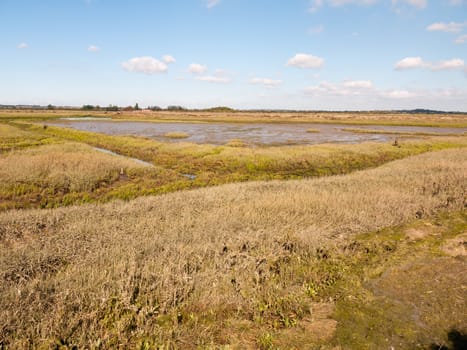 landscape scene view grassland outside marsh land; essex; england; UK