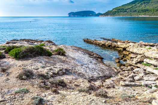 Landscape of Capo Caccia from the coast in a sunny day of autumn - Alghero - Sardinia