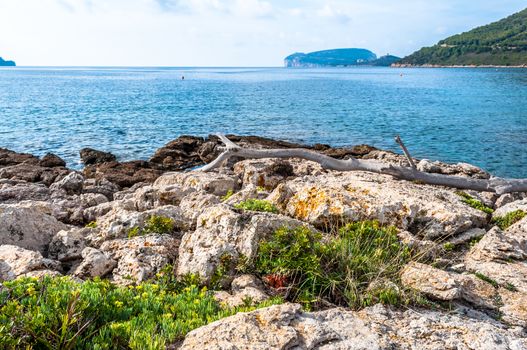 Landscape of Capo Caccia from the coast in a sunny day of autumn - Alghero - Sardinia