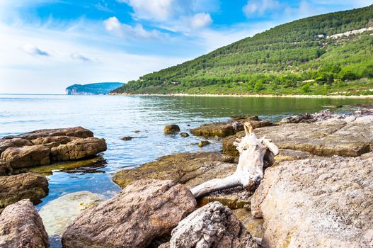 Landscape of Capo Caccia from the coast in a sunny day of autumn - Alghero - Sardinia