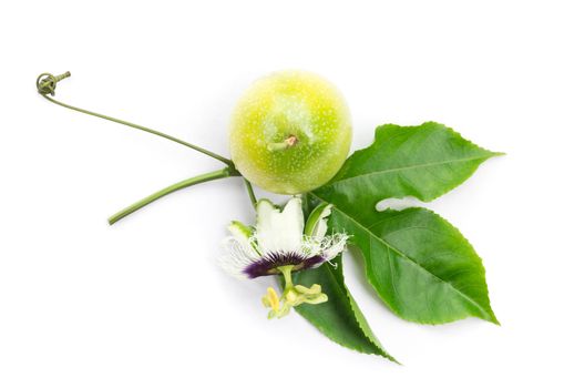 Closeup top view passion fruit flower and leaves on white background