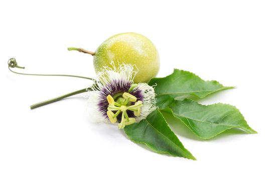 Passion fruit flower and leaves on white background