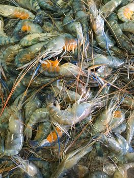 Closeup fresh shrimp in supermarket, raw material food cooking, Photo with mobile phone