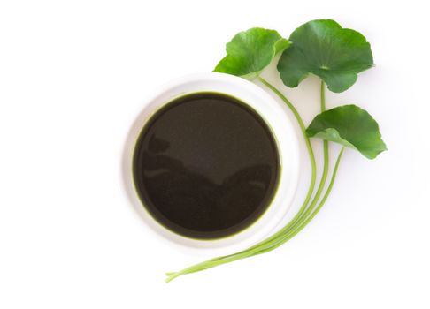 Closeup top view of Gotu kola's leafs drink on white background, herb and medical concept