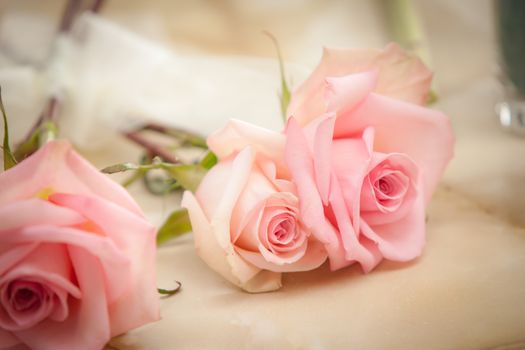 Beautiful pink roses being prepared for a bouquet.