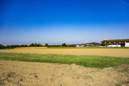 fields, cellar and village in the distance