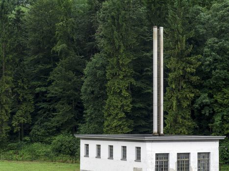 Photo of a factory building sitting in front of a huge forest background.

