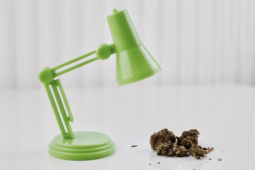 Growing marijuana. Green lamp over dry green marijuana plants.