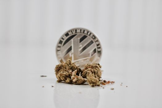 Digital currency physical silver litecoin coin near dry marijuana plants on the white background.