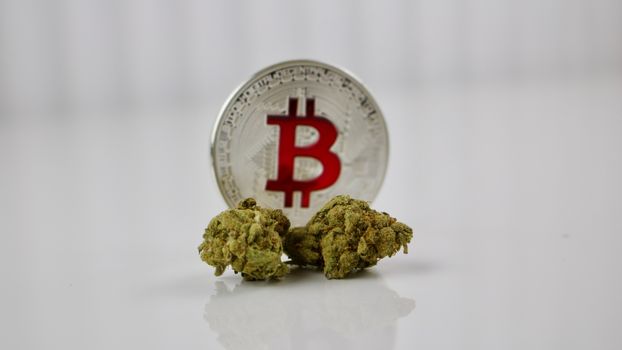 Digital currency physical red bitcoin coin near green marijuana plants.
