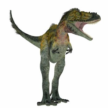 Alioramus was a carnivorous theropod dinosaur that lived in Asia in the Cretaceous Period.