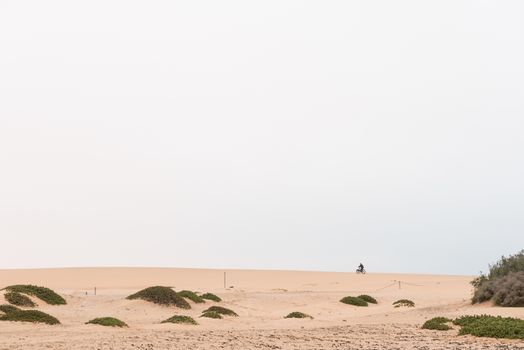 A cyclist on a fatbike on a dune at Swakopmund in the Namib Desert on the Atlantic Coast of Namibia