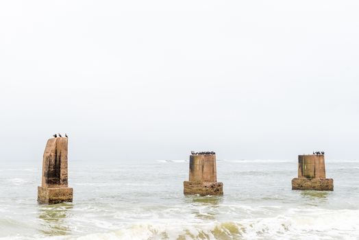 White-breasted and Bank cormorants on pillars of the old railroad bridge over the mouth of the Swakop River at Swakopmund in the Namib Desert