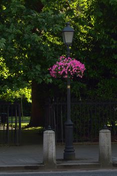 Old street lamp in Dublin, Ireland