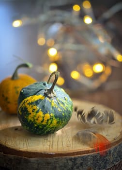 Autumn decoration with small pumpkins and lights