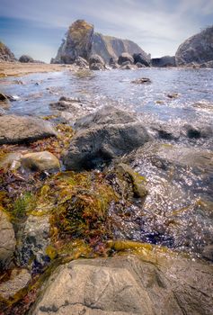 Rocky Beach Landscape, Color Image, Pacific Northwest