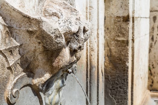 detail of an ancient fountain in Spoleto (Italy)