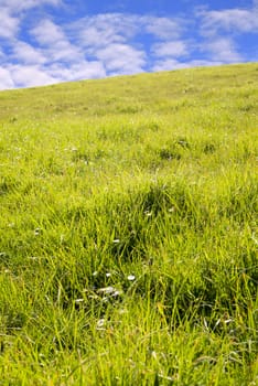 beautiful green grass of county kerry ireland