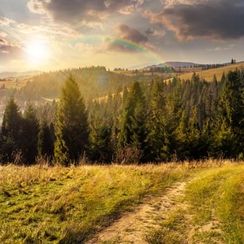 composite image of  hillside of mountain range with coniferous forest and meadow path in sunset light with rainbow