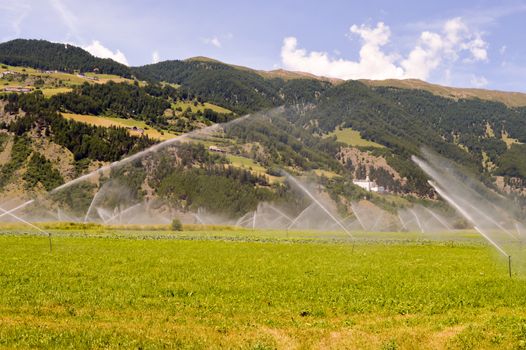 Automatic irrigation of crop fields in dolomites in Italy