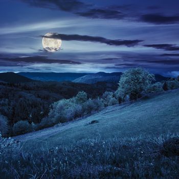 composite rural landscape. fence near the meadow and trees on the hillside. forest in fog on the mountain top at night in full moon light