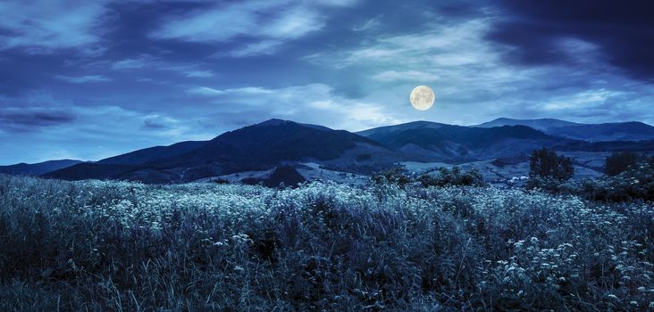 composite mountain landscape. wild flowers on meadow in mountains at night in full moon light
