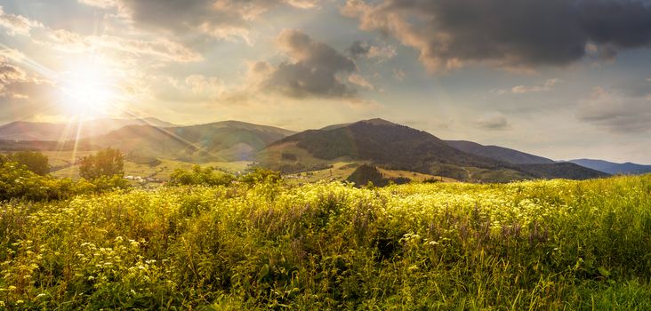 composite mountain landscape. wild flowers on meadow in mountains in sunset light