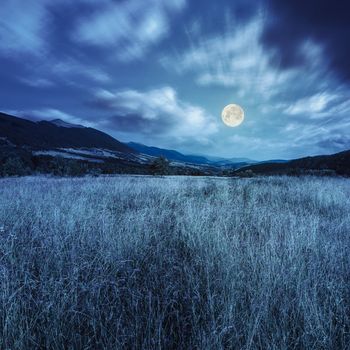 composite mountain summer landscape. Meadow with wild flowers in mountains at night in full moon light