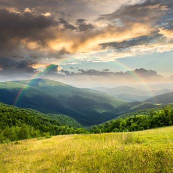 composite mountain summer landscape. trees near meadow on hillside with rainbow